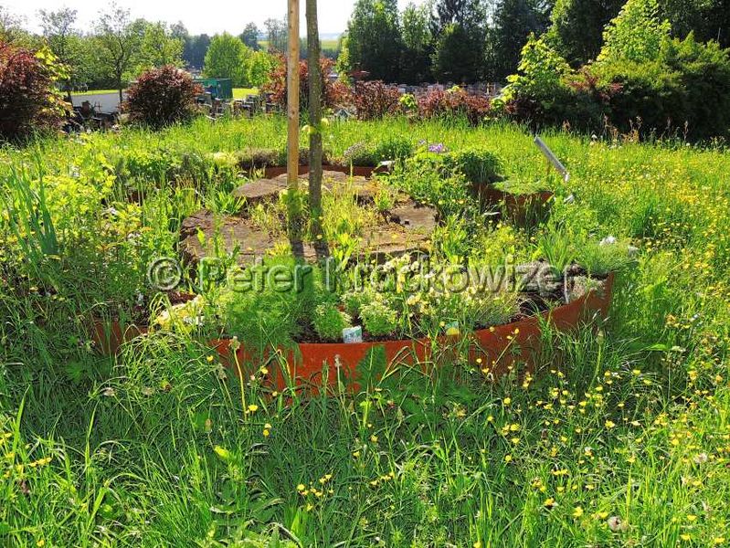 Datei:Schanzwallweg Neumarkt 03.jpg