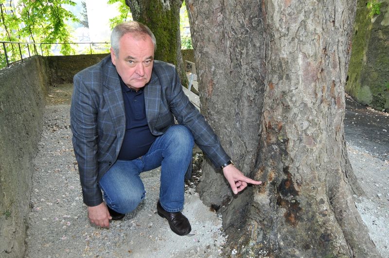 Datei:Saiko Wolfgang.jpg