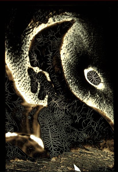 Datei:Chemogramm 4.JPG