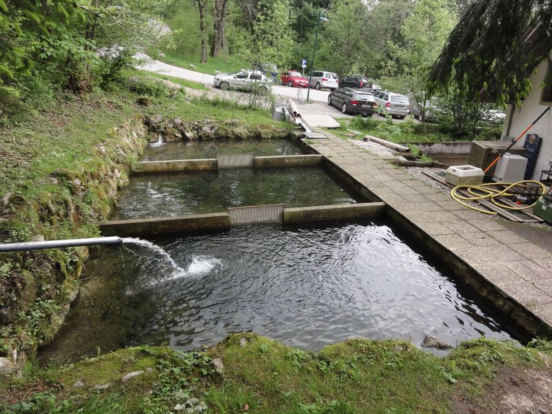 Datei:Fuschler Schlossfischerei.jpg