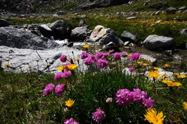 Gletscherbach radhaus 04651 2013-08-01.jpg