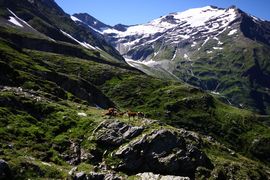 Hocharn 1865 13-08-01.jpg