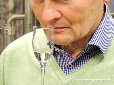 2012 11 21 Anton Vogl Guglhof Hallein.jpg