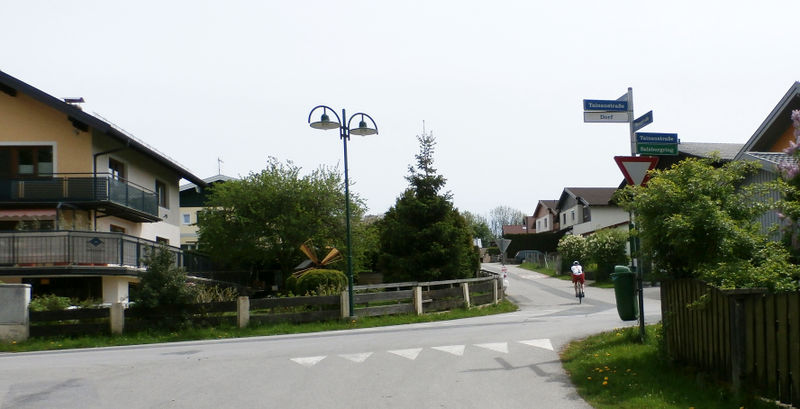 Datei:Weggabelung mit der Moosstraße.jpg
