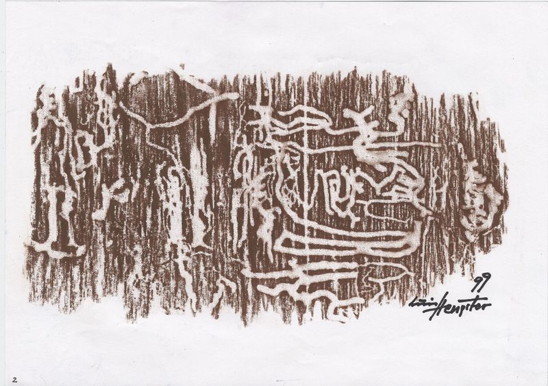 Datei:Wurmbild 4verkl..jpg