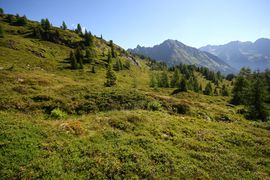 Wirpitschalm 29821 2016-07-10.jpg