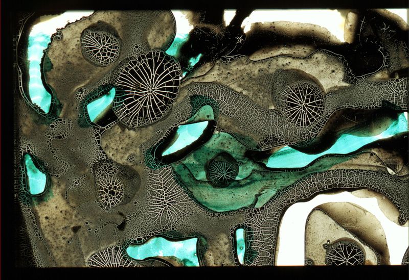 Datei:Chemogramm 5.JPG