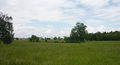 Leopoldskron-Moos-Landschaft.JPG