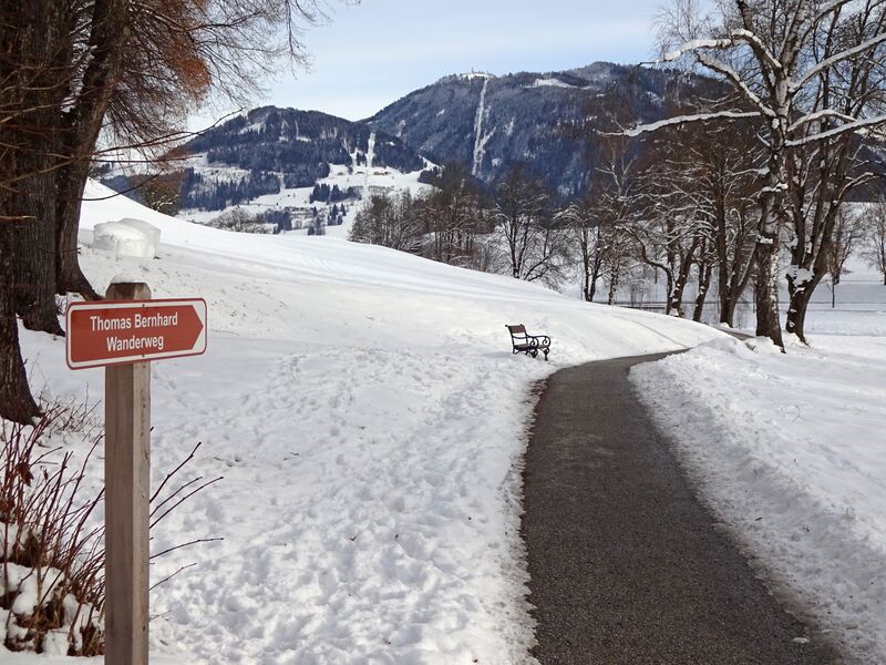 Datei:Thomas-Bernhard-Wanderweg 04.jpg