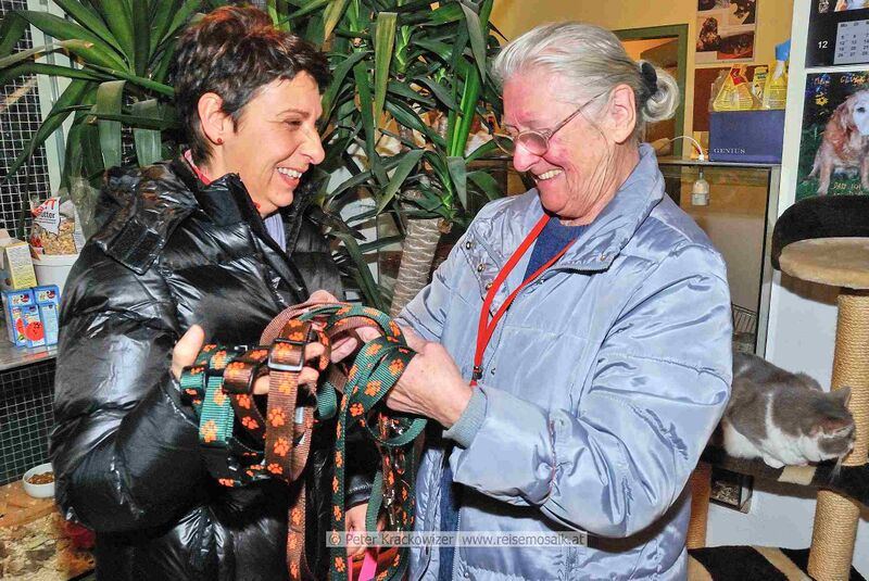 Datei:Tierheim Hallein 2011 02.jpg