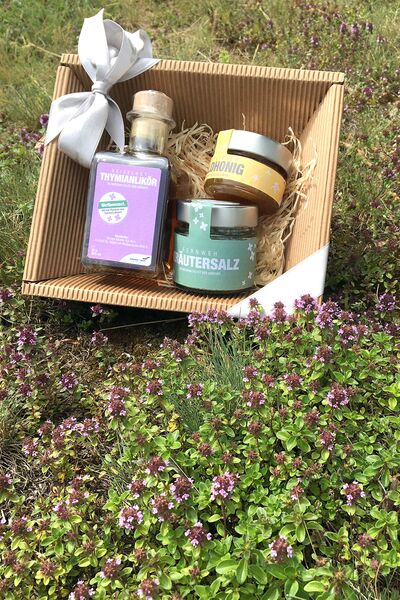 Datei:Flughafen-Bienen 04.jpg