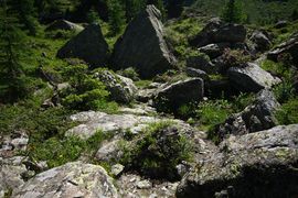 Schönalm weißpriach 29789 2016-07-10.jpg