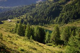 Wirpitschalm 29952 2016-07-10.jpg