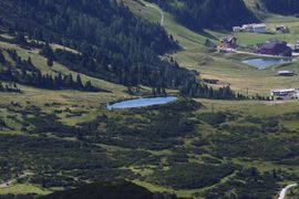 Hundsfeldmoor obertauern 31308 2016-08-04.jpg