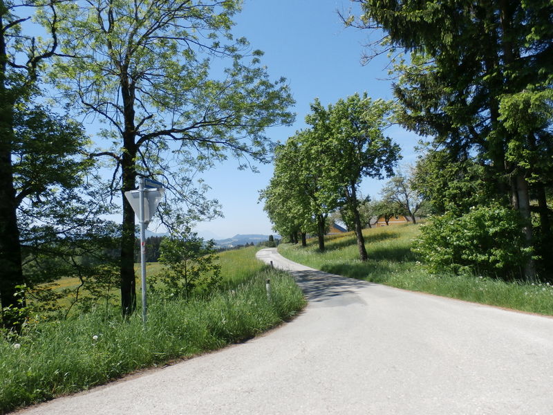 Datei:Reitbauerweg im Mai.JPG