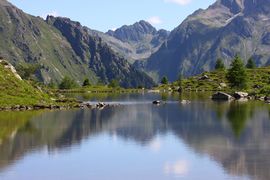 Lacken weißpriach 29547 2016-07-10.jpg